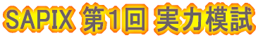 SAPIX‘æ‚P‰ñŽÀ—Í–ÍŽŽ
